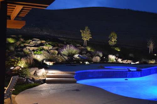 Pool and Hammock with Bronze Stand with Backyard Lighting
